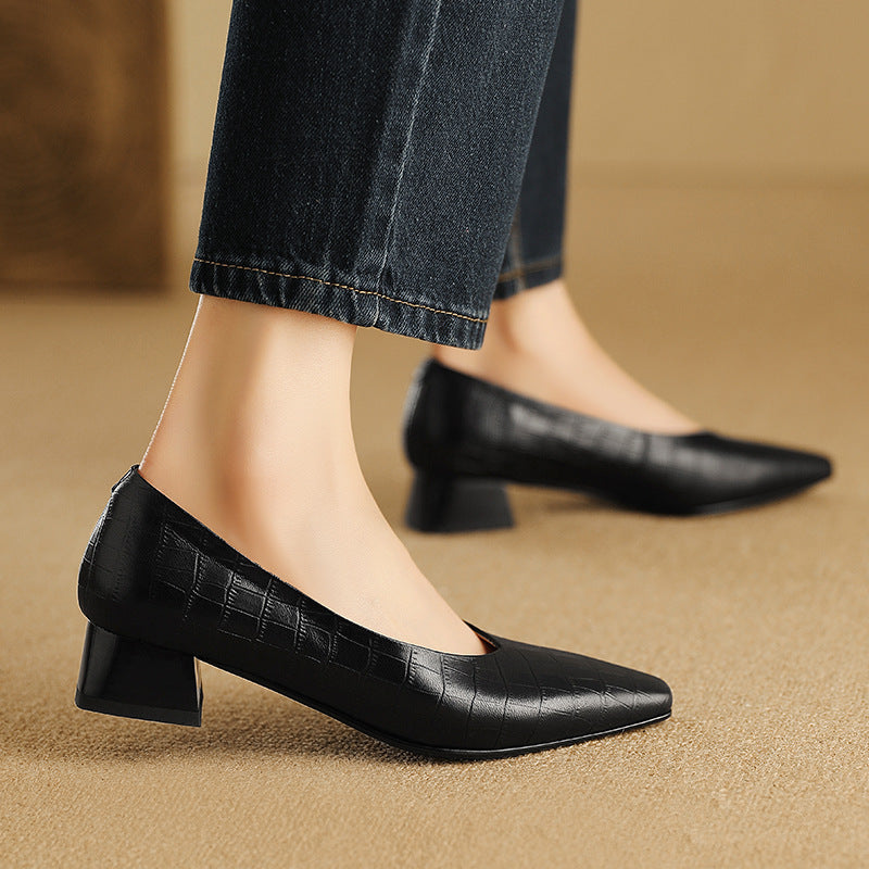 Pointed Toe Thick Low Heel Shoes Women